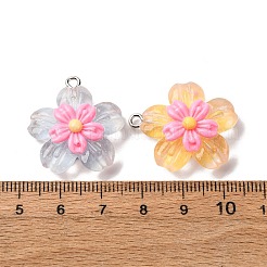 透明樹脂ペンダント  花  プラチナ鉄ループ付き  ツートン  ミックスカラー  25~26.5x24x8.5~9mm  穴：2mm&nbsp;RESI-A046-05A