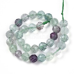 Natural Fluorite Beads Strands&nbsp;G-S345-6mm-31