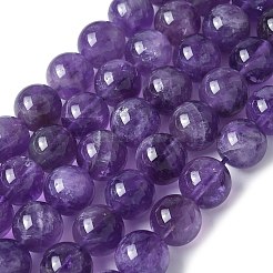 Natural Amethyst Beads Strands&nbsp;G-R446-10mm-21-A