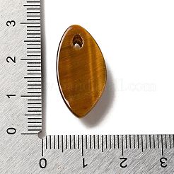 天然石タイガーアイペンダント  金メッキ304ステンレススチール製金具付き  馬の目のチャーム  25x12.5~13x5.5mm  穴：2x1mm&nbsp;G-K355-01G-04