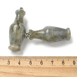 Natural Labradorite 3D Pendants&nbsp;G-K385-10P-04
