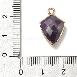 Natural Amethyst Pendants&nbsp;G-K422-01G-11