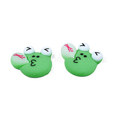 Opaque Resin Cabochons&nbsp;CRES-S308-088