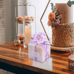 Clear PVC Candy Gift Packaging Boxes with Ribbon & Artificial Flower&nbsp;CON-TAC0001-20E