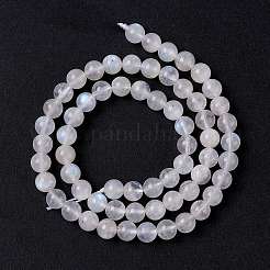 Natural Rainbow Moonstone Beads Strands&nbsp;G-I249-B04-04