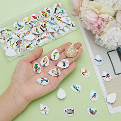 1Set Glass Cabochons&nbsp;GGLA-PH0001-65F