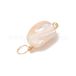 天然貝殻のチャーム  銅線ループ付き  ゴールドカラー  7.5~11x6.5~8.5x3.5~7mm  穴：1.5~3.5mm&nbsp;PALLOY-JF02842