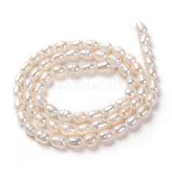 天然養殖淡水パールビーズ連売り  ライス  ホワイト  5~6x4mm  穴：0.6mm  約60個/連  13.78インチ（35cm）&nbsp;PEAR-L033-58-01
