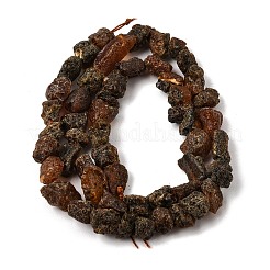 未加工の天然琥珀ビーズ連売り  ナゲット  7~10x7~8x7~8mm  穴：1mm  約49~51個/連  15.43''（39.2~40センチメートル）&nbsp;GG-CBAC13F-D01-03