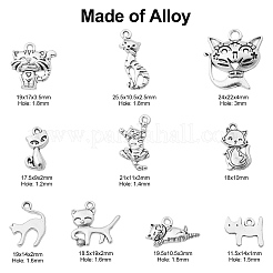 100Pcs 10 Styles Tibetan Style Alloy Charms&nbsp;TIBEP-CJ0003-17