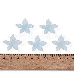 Transparent Acrylic Beads&nbsp;MACR-S373-127-D02