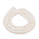 Electroplated Shell Pearl Beads Strands&nbsp;BSHE-C006-04A-2
