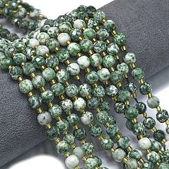 Natural Green Spot Jasper Beads Strands&nbsp;G-K389-E64-01