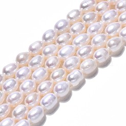 天然養殖淡水パールビーズ連売り  ライス  貝殻色  7~9x5.5~6.5mm  穴：0.7mm  約45~47個/連  13.78インチ〜13.98インチ（35cm〜35.5cm）&nbsp;PEAR-N012-06E-1