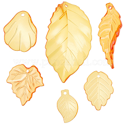 100G Transparent Acrylic Pendants&nbsp;TACR-BM0001-03