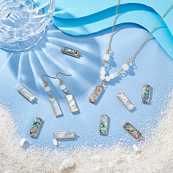 12Pcs 2 Styles Natural Paua Shell/Abalone Shell Pendants&nbsp;FIND-BC0013-35