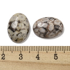 天然マイファナイトカボション  オーバル  18x13x5~5.5mm&nbsp;G-C115-01A-30
