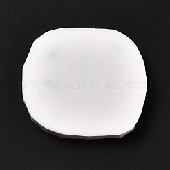 DIY Autumn Ornament Food Grade Silicone Statue Molds&nbsp;DIY-G054-B03