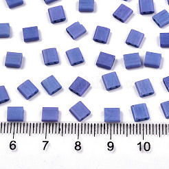 FGB 2-Hole Baking Paint Glass Seed Beads&nbsp;SEED-S031-L-ST1200FR