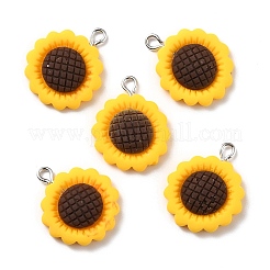 Resin Pendants&nbsp;RESI-C002-27