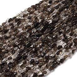 Natural Smoky Quartz Beads Strands&nbsp;G-I389-A31-01B