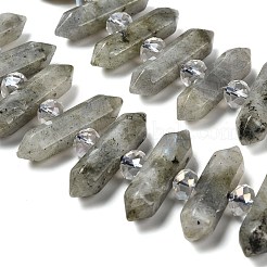 Natural Labradorite Double Terminated Point Beads Strands&nbsp;G-H069-B04-01