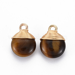 Natural Tiger Eye Pendants&nbsp;G-S359-288B