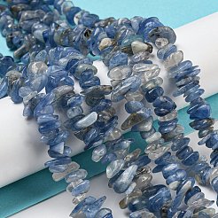 Natural Kyanite Chip Beads Strands&nbsp;G-G905-14