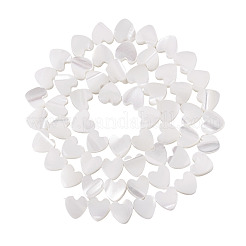 1 Strand Natural Trochid Shell/Trochus Shell Beads Strands&nbsp;BSHE-TA0001-39