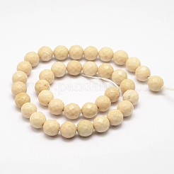 Natural Fossil Round Bead Strands&nbsp;G-O151-02-8mm