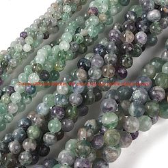 Natural Fluorite Beads Strands&nbsp;X-G-P530-B04-03
