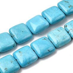 Natural Howlite Beads Strands&nbsp;G-C025-13