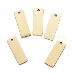 Ion Plating(IP) 304 Stainless Steel Pendants&nbsp;STAS-I140-22B-G
