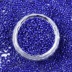 FGB 11/0 Grade A Glass Seed Beads&nbsp;X-SEED-S030-1024