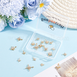 20Pcs 10 Styles Brass Micro Pave Cubic Zirconia Pendants&nbsp;KK-BBC0028-16