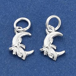 925 Sterling Silver Moon with Bowknot Charms&nbsp;STER-P071-05S