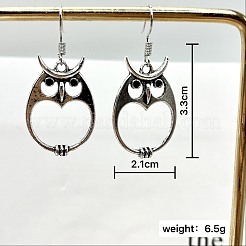 Alloy Dangle Earrings&nbsp;FS-WGE69A4-01