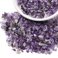 Natural Amethyst Chip Beads&nbsp;X-G-L453-06