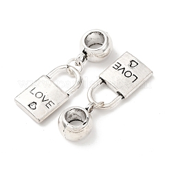 Alloy European Dangle Charms&nbsp;FIND-G098-11AS