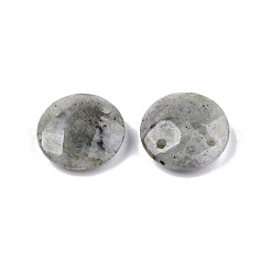 Natural Labradorite Connector Charms&nbsp;G-N326-149A