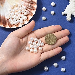天然養殖淡水真珠ビーズ10個  研磨両側  貝殻色  8~9.5x8.5~11.5x5~7.5mm  穴：0.7mm&nbsp;PEAR-YW0001-27