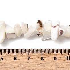 Natural Trochid Shell/Trochus Shell Beads Strands&nbsp;SHEL-B003-02J