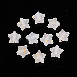 Frosted Acrylic Beads&nbsp;FACR-CJC0008-01I
