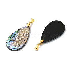 Natural Paua Shell/Abalone Shell Pendants&nbsp;PALLOY-JF05570