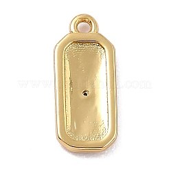 Brass Micro Pave Cubic Zirconia Charms&nbsp;ZIRC-I054-12G-05