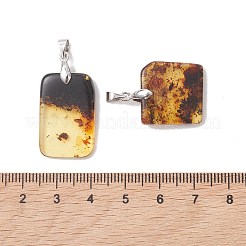天然琥珀のペンダント  真鍮のベイルが付いた長方形のチャーム  ゴールデンロッド  プラチナ  19~26x16~16.5x3.5~5.5mm  穴：4.5x3.5mm&nbsp;PALLOY-JF05261-02