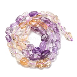 Natural Amethyst & Citrine Beads Strands&nbsp;G-L610-B06-01