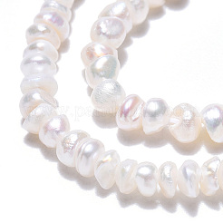 天然養殖淡水パールビーズ連売り  フラットラウンド  貝殻色  2.5~3.5x1.5~2mm  穴：0.5mm  約185~239個/連  13.50インチ〜13.86インチ（34.3~35.2cm）&nbsp;PEAR-N015-02C