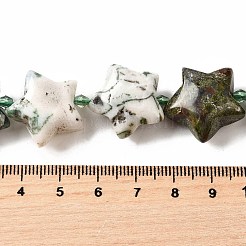 Natural Tree Agate Beads Strands&nbsp;G-U023-C01-08