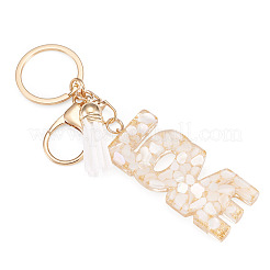 Alloy & Resin Tassel Keychainss&nbsp;AJEW-TADJ0001-20G-03